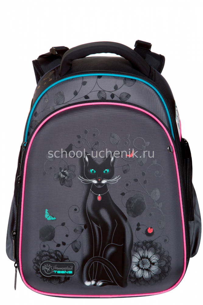     Hummingbird Cat T37
